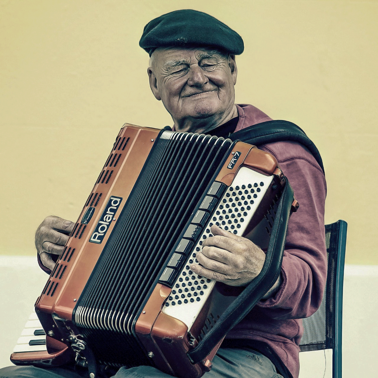 Gesundheit-accordion-1869648_1280