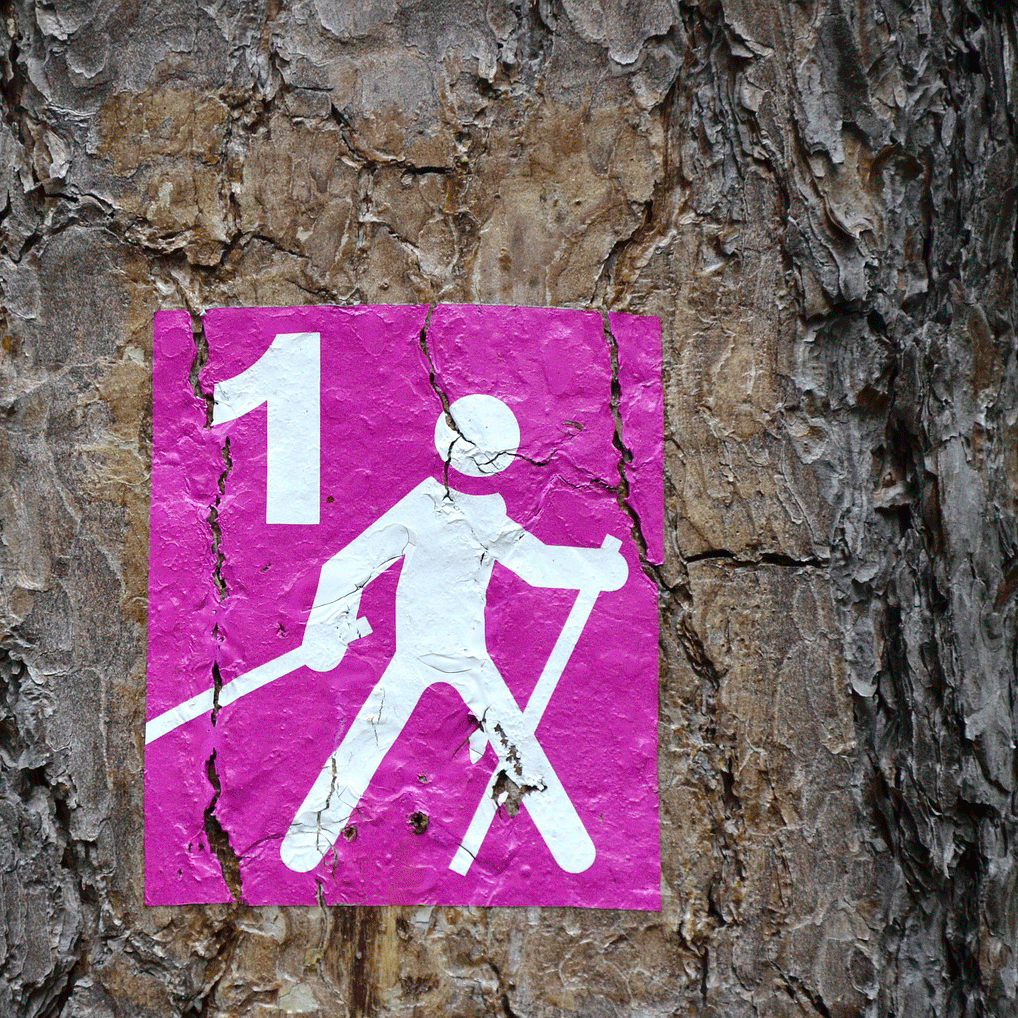 walking